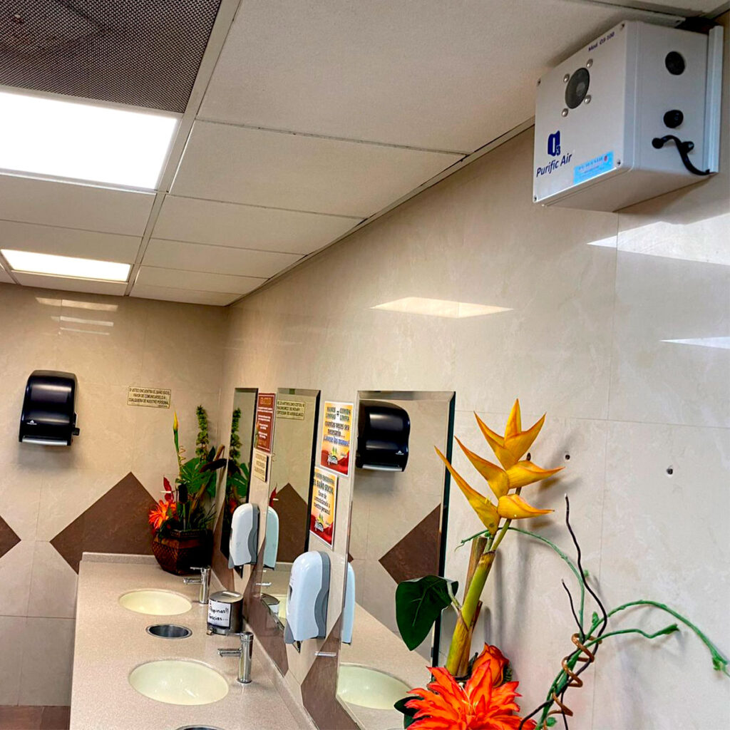 purificador olores monterrey